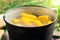 Boil corn in boiling water on a fire.