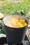 Boil corn in boiling water on a fire.