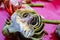 Boiled artichoke cut in half lying on pink tablecloth with mushroom and asparagus at crawfish boil - selective focus