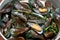 Boiled Asian green mussel, Perna viridis