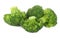 Boiled broccoli vegetable