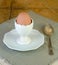 Boiled Brown Egg in Eggcup