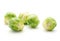 Boiled Brussels sprout isolated