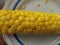 Boiled corn on plate. Cereal, fruits. Cooked maize close-up.