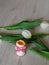 Boiled egg in egg cup with tulips