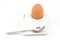 Boiled egg in egg holder with spoon