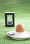 Boiled egg with egg timer