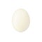 boiled egg on white background. peeled freshly boiled egg