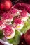 Boiled eggs with red beet sprouts