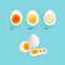 Boiled Eggs Stages Set