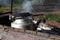 Boiled kettle with steam on barbecue on coals outside