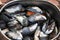 Boiled mussels closeup