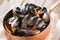 Boiled mussels with herbs in copper cooking dis