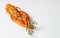 Boiled orange crayfish on the white background. Cooked freshwater delicious crayfish with dill. Close-up. Copy space. Menu blank