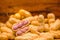 Boiled peanuts peel out on wood background