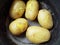 Boiled potatoes in a peel. Five large potatoes lie in a rough saucepan