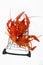 Boiled red crayfish lobsters on a shopping basket, funny photo for supermarkets and shopping,,