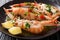 Boiled seafood scampi or langoustine or Norway lobster are serve