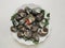 Boiled turbo sea snail shell