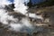 Boiling geothermal geyser