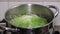 Boiling green cabbage in water