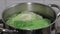 Boiling green cabbage in water