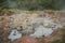 Boiling Mud Pot - Rincon de la Vieja, Costa Rica