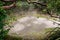 Boiling mud pot in Rincon de la Vieja National Park