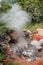 Boiling mud pot in Rincon de la Vieja National Park