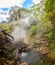 Boiling pool in Rincon de la Vieja National Park