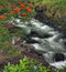 Boiling Pots near Hilo (Big Island, Hawaii)