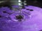 Boiling Purple Gravity Natural Water Drop