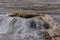 Boiling water bubbler Geyser. Active geyser with major eruptions. Yellowstone NP