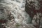 Boiling water in the mountain river in the gorge