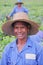 BOIS CHERI, MAURITIUS - NOVEMBER 24, 2012: Portrait of a Tea Plucker in Bois Cheri Tea plantations