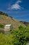 Boise Idaho irrigation diversion dam and rose bush