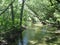 Boise River sunlight filtered through trees