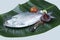 Boishakh panta ilish National fish of Bangladesh Hilsafish ilisha terbuk hilsa herring or hilsa shad Clupeidae family on white