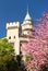 Bojnice castle Prievidza town with flowering Sakura tree springtime view, Slovakia, Europe