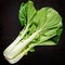 Bok choy or Chinese-cabbage on black table. Pak choi.