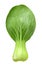 Bok choy vegetable isolated clipping path