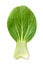 Bok choy vegetable isolated clipping path