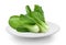 Bok choy vegetable in white plate on white background