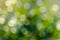 Bokeh blur green background Water reflection Bokeh blur green background