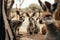 Bokeh captures zoo\\\'s hyper-detailed marsupials in Unreal Engine 5