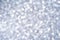 Bokeh circle with silver sparkles background. Grey glitter backdrop. Monochrome