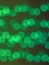 Bokeh of horizontal lines of green lights