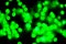 Bokeh light green defocus at night abstract background