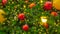 Bokeh photo, decorative of Chistmas tree with red, golden, yellow and white light bolls on green leaves of pine tree