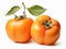 Bold & Beautiful: The Artistic Simplicity of Two Orange Persimmons